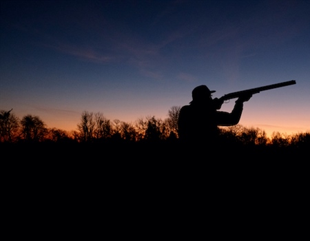 Take Action for Sunday Hunting in Virginia