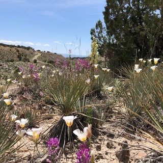 Sometimes a Poor Notion - UT BHA Opposes Book Cliffs Highway