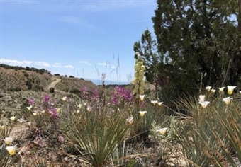 Sometimes a Poor Notion - UT BHA Opposes Book Cliffs Highway