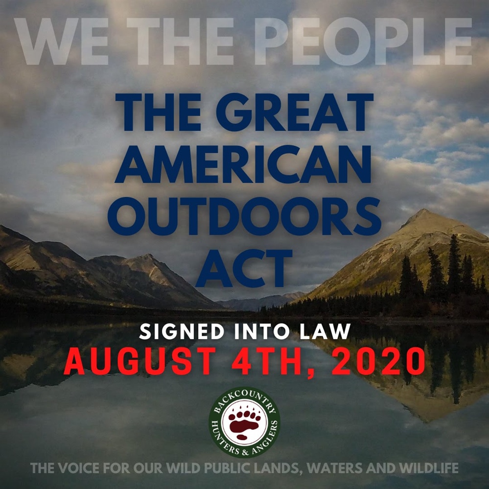 Montana BHA Year in Review - 2020