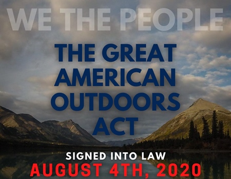 Montana BHA Year in Review - 2020