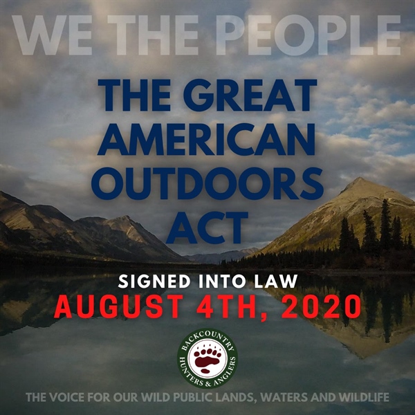 Montana BHA Year in Review - 2020