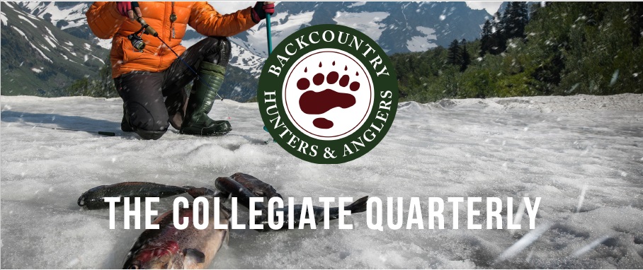 The Collegiate Quarterly: Celebrating Wins Despite A Difficult Year