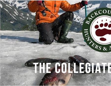 The Collegiate Quarterly: Celebrating Wins Despite A Difficult Year