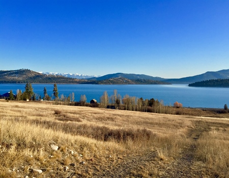 LETTER: MT BHA encourages Land Board to approve Flathead Lake acquisitions