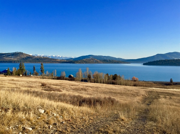 LETTER: MT BHA encourages Land Board to approve Flathead Lake acquisitions