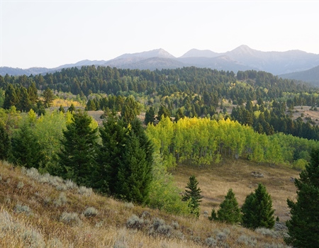 U.S. Forest Service Drops Controversial Sections from Crazy Mountains Land Swap