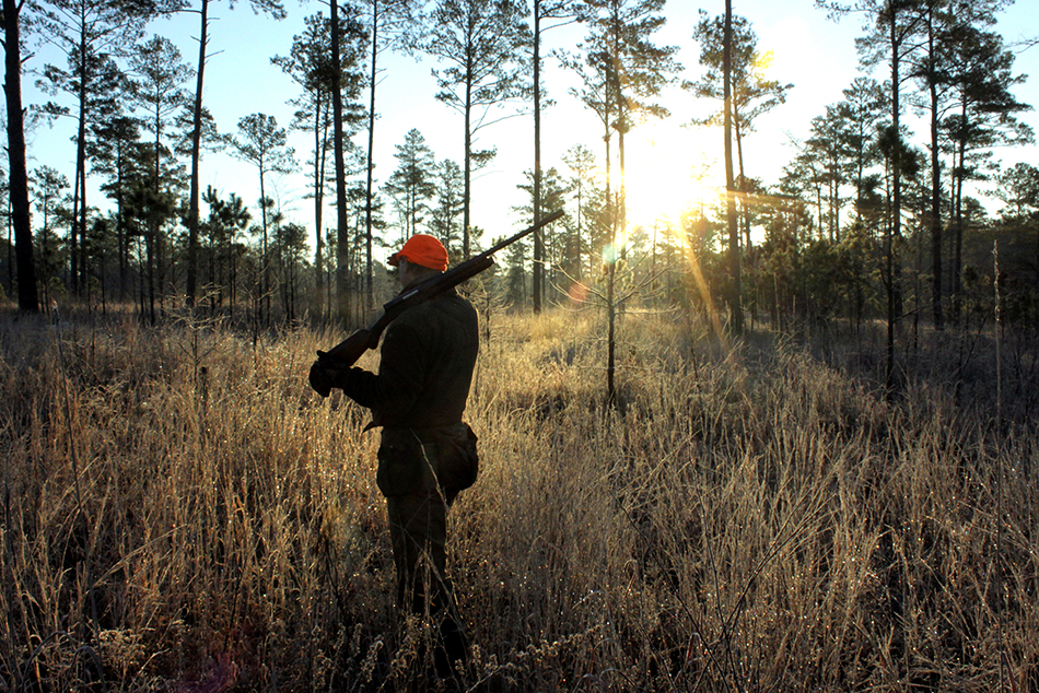 BHA Podcast & Blast, Ep. 93: Bobwhite quail conservation with Michael Hook and Mark Coleman