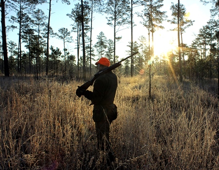 BHA Podcast & Blast, Ep. 93: Bobwhite quail conservation with Michael Hook and Mark Coleman