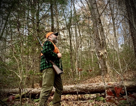 Boggs Mountain — The Facts