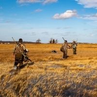 Win a Guided Rhode Island Duck Hunt!