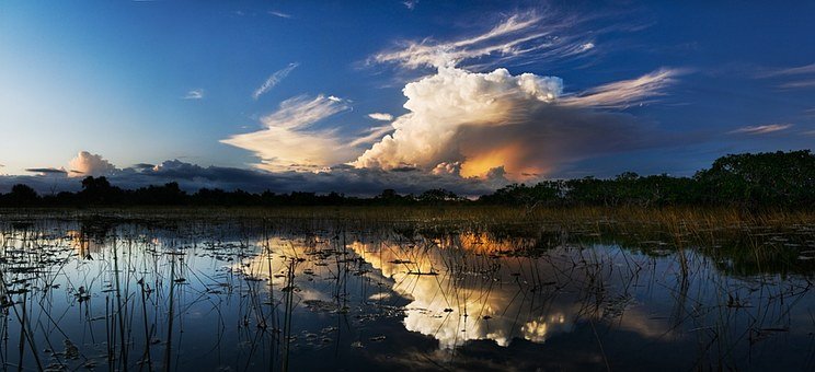 BHA Officially Launches Florida Chapter