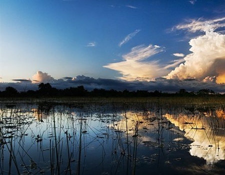 BHA Officially Launches Florida Chapter