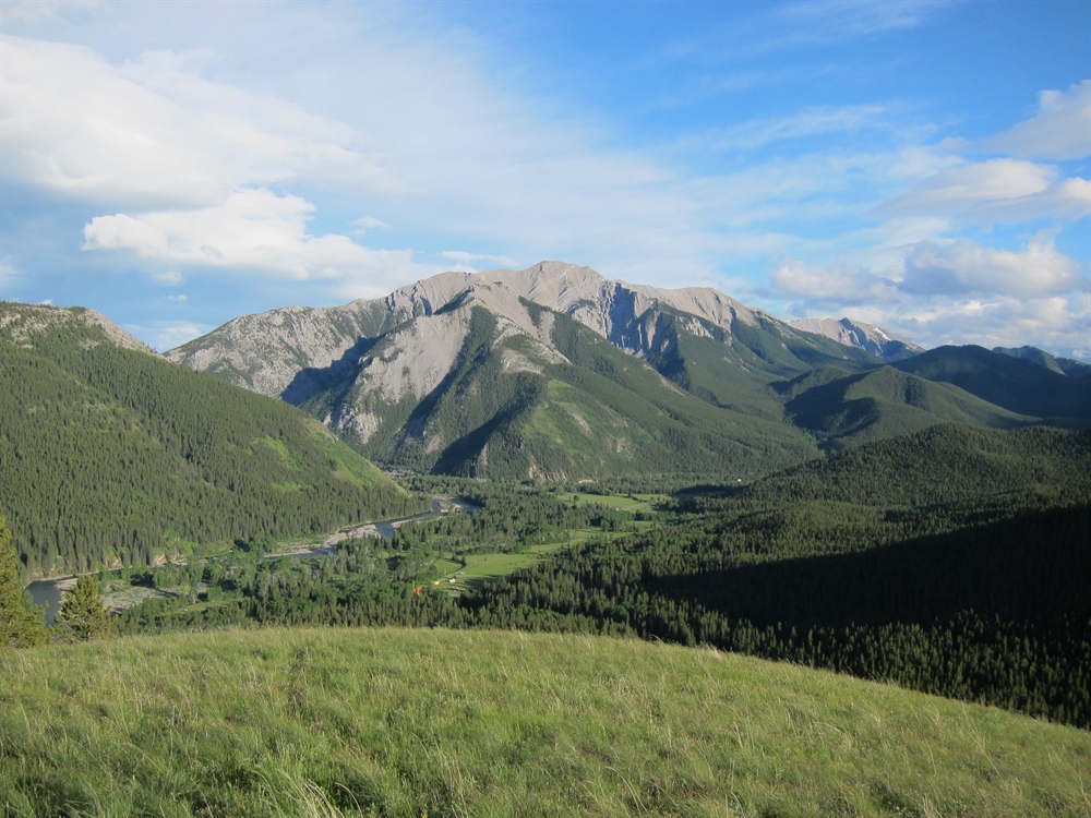 Alberta BHA Opposes Grassy Mountain Coal Project, New Coal Policy