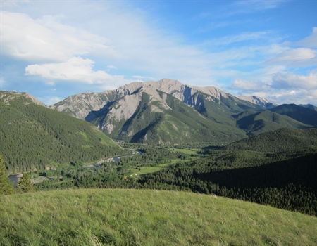 Alberta BHA Opposes Grassy Mountain Coal Project, New Coal Policy