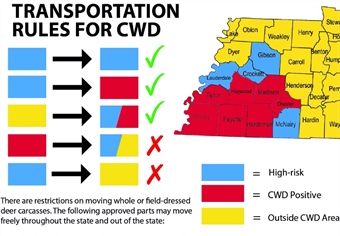 CWD In Tennessee: How Hunters Can Help
