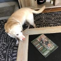 Timely reminders as hunting season arrives in Pennsylvania