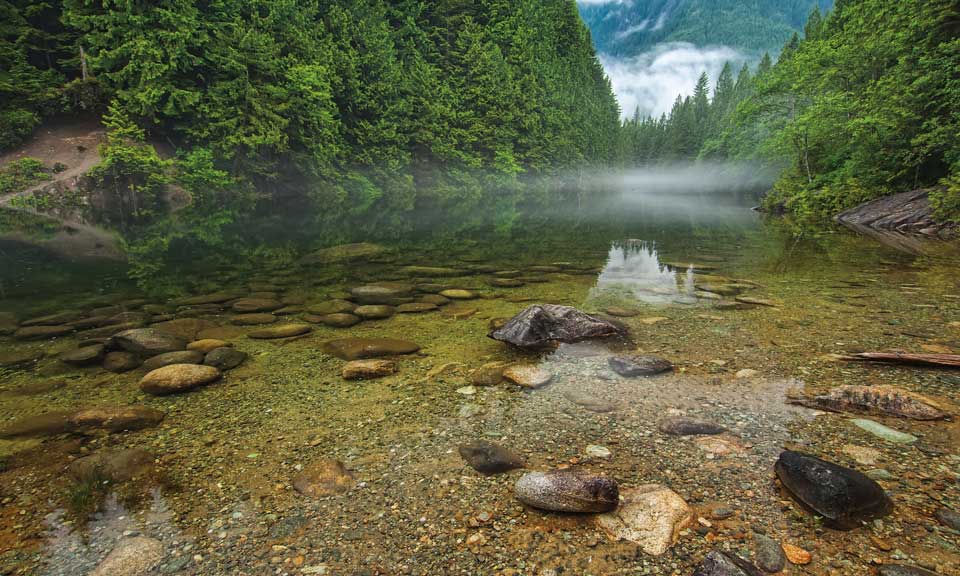 BC Chapter Promotes Conservation Message for BC Election