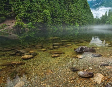 BC Chapter Promotes Conservation Message for BC Election