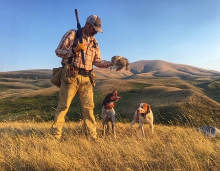 The Sharptail Caucus