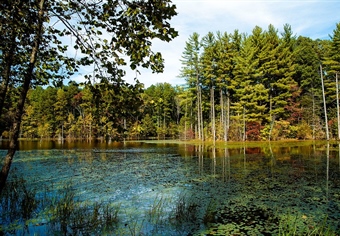 Public Land Partnership: Hoosier National Forest and Indiana BHA