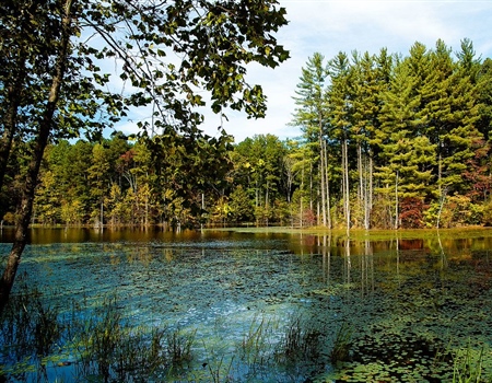 Public Land Partnership: Hoosier National Forest and Indiana BHA