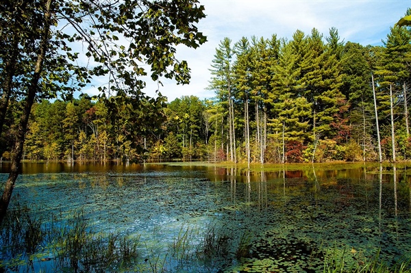 Public Land Partnership: Hoosier National Forest and Indiana BHA