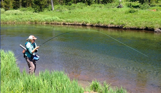 UT BHA Members Honored by Wild Utah Project