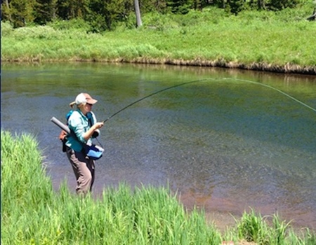 UT BHA Members Honored by Wild Utah Project