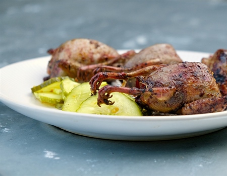 Spicy Mustard Glazed Doves