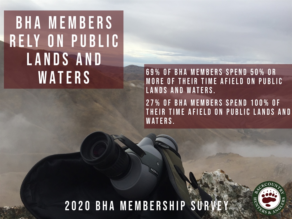 Young, Politically Diverse, Active:  BHA 2020 Member Survey Results