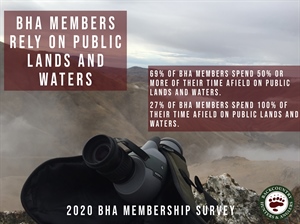 Young, Politically Diverse, Active:  BHA 2020 Member Survey Results
