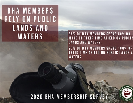 Young, Politically Diverse, Active:  BHA 2020 Member Survey Results