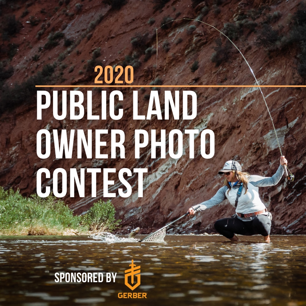 Enter BHA's 2020 Photo Contest