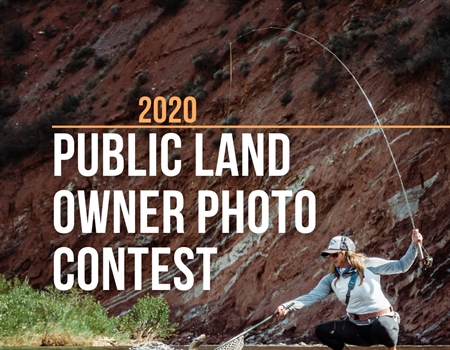 Enter BHA's 2020 Photo Contest
