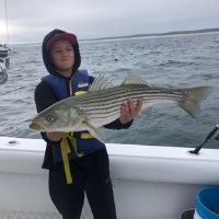 Policy Primer: ASFMC Initiates Amendment to Striped Bass Plan