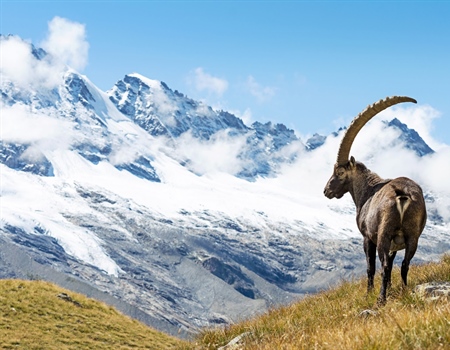 Considering the Ethics of Trophy Hunting: Part 2