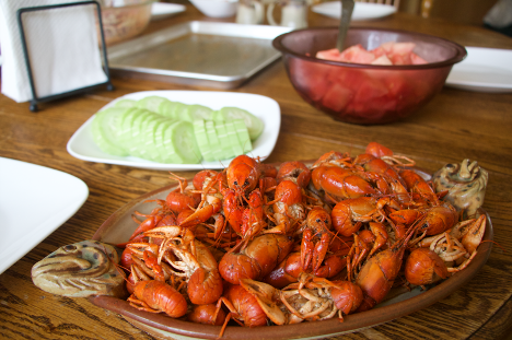 How to Build a Crawfish Trap - Women in the Woods