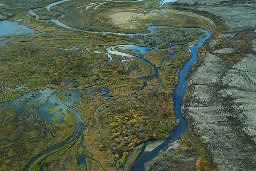 Administration Acts to Slow Development  of Pebble Mine in Alaska, BHA Responds