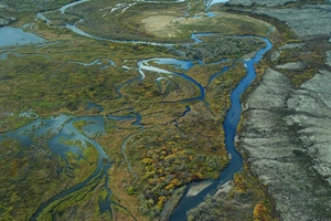 Administration Acts to Slow Development  of Pebble Mine in Alaska, BHA Responds