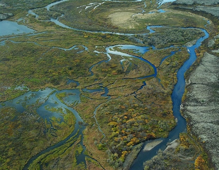 Administration Acts to Slow Development  of Pebble Mine in Alaska, BHA Responds