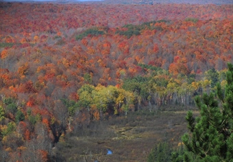 Action alert! The Michigan DNR needs your input on the 2021 Public Lands Strategy.