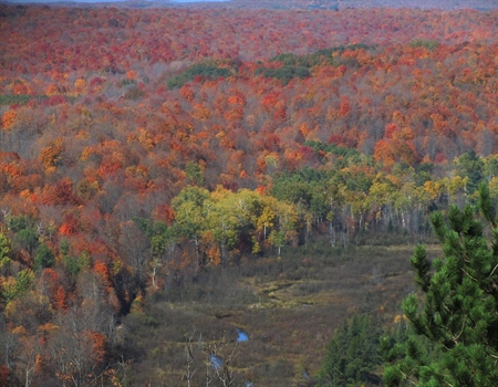 Action alert! The Michigan DNR needs your input on the 2021 Public Lands Strategy.