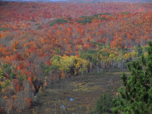 Action alert! The Michigan DNR needs your input on the 2021 Public Lands Strategy.