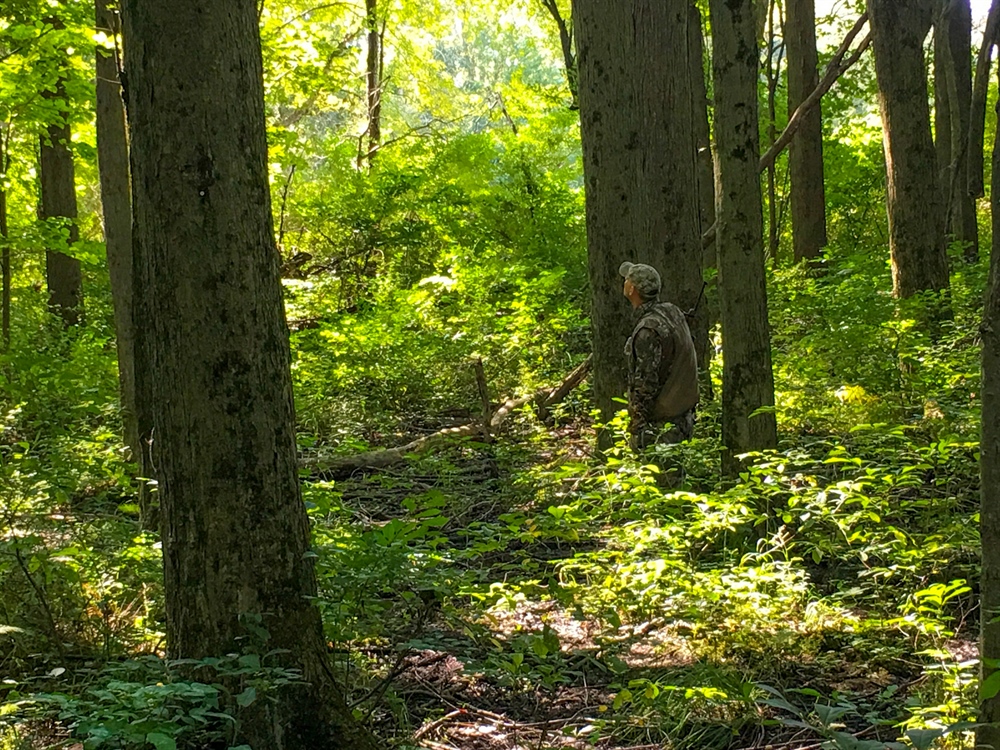For the first time in 67 years, Indiana establishes new State Forests.