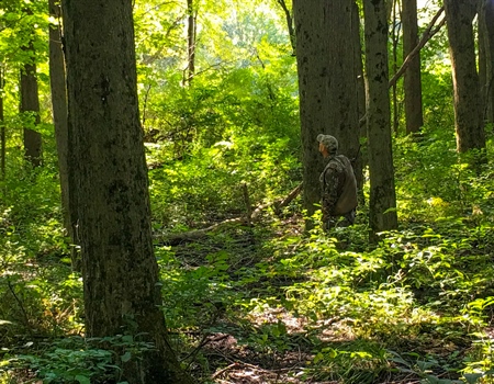 For the first time in 67 years, Indiana establishes new State Forests.