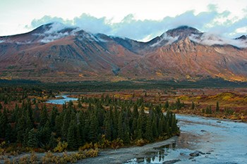 Stand up for Bristol Bay