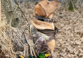 Pine Tree Research Station Sale — Attacking Arkansas Hunters & Our Hunting Culture