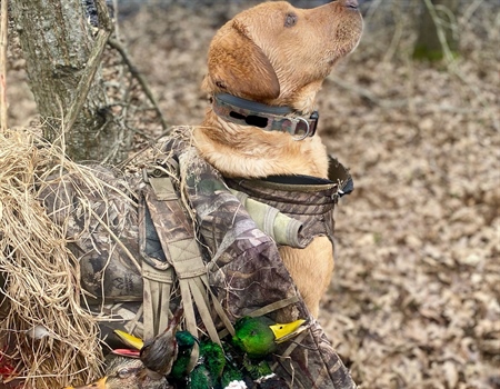Pine Tree Research Station Sale — Attacking Arkansas Hunters & Our Hunting Culture