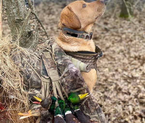 Pine Tree Research Station Sale — Attacking Arkansas Hunters & Our Hunting Culture